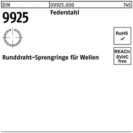 Hörger & Geßler DIN 9925 Sprengring Federstahl-Draht 40