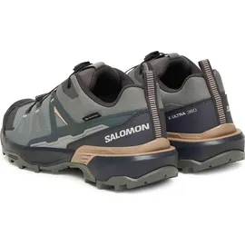 Salomon X Ultra 360 GTX Damen Sedona Sage/Urban Chic/Etherea 37