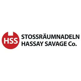 IBT Räumnadel-Set HSS Größe 2+3 mm