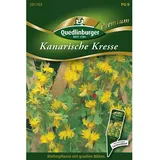 Quedlinburger Kanarische Kresse