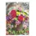 ALPHA EDITION GmbH & Co. KG Blumen 2027 Wandkalender 23,7x34 cm