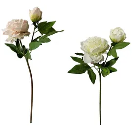 Hti-Living Pfingstrosen 2er Set Flora Weiß/Rosa