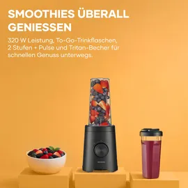 Severin SM 3743 Standmixer