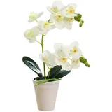 Generisch Künstliche Orchidee im Topf,realistisch,40,6 cm,künstliche Orchidee,dekorative künstliche Orchidee,lebendige,lebendige künstliche Orchideenpflanze für Zuhause,Büro,Hochzeit,Weiß