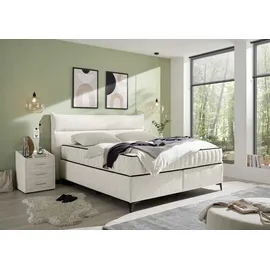 ed exciting design Boxspringbett VLIELAND Premium 9-Zonen-Tonnentaschenfederkern Duo-Matratze mit Kokosmatte beige