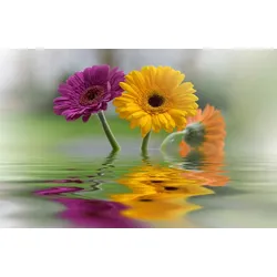 Fototapete PAPERMOON "BLUMEN-SCHNEEGLÖCKCHEN PFLANZEN REFLEXION DEKO ABSTRAKT", bunt, B:4,00m L:2,60m, Vlies, Tapeten