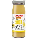 Shot Ingwer & Zitrone-Honig DEMETER 95ml