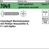 Industrial Quality Supplies ISO 7049 Form F Linsenkopf-Blechschraube VG