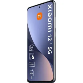 Xiaomi 12 8 GB RAM 128 GB Gray