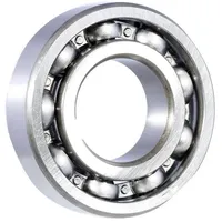 SKF Rillenkugellager 6005-2RSH