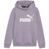 Puma ESS Logo Hoodie FL G, Pale Plum,