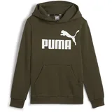 Puma ESS Big Logo Hoodie FL B, Jungen Schweiß, Dark olive