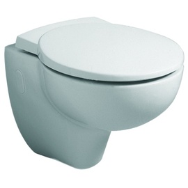 GEBERIT WC-Sitz JOLY mit Deckel, abnehmbar Scharnier: Edelstahl, mit Absenkautomatik weiß