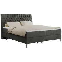 MKS Boxbett, MILEN 160/200 Dunkelgrau Velvet - H4