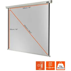 celexon Leinwand Motor Professional 160 x 160 cm