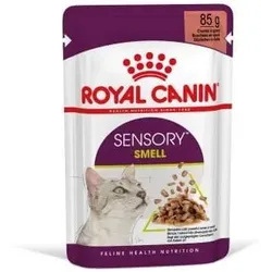 ROYAL CANIN FHN Sensory Smell Stücke in Sauce Katze 85g