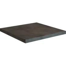 kochstation Arbeitsplatte KS-Universal, Stärke 38 mm, verschiedene Breiten, CPL-Beschichtung grau 120 cm x 3,8 cm x 60 cm