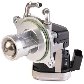 BorgWarner (Wahler) Borgwarner AGR-Ventil elektrisch, mit Dichtung
