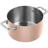 ScanPan Maitre D' Kochtopf 26 cm rund