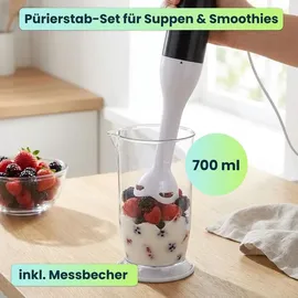 ideoon home Power Stabmixer-Set 400W Stabmixer