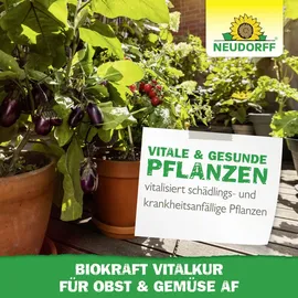 NEUDORFF BioKraft Vitalkur für Obst und Gemüse AF 500 ml