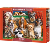 Castorland Dog Club (C-300501)