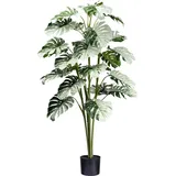 Creativ green Künstliche Zimmerpflanze »Monstera Variegata Halfmoon«, mit außergewöhnlichem Blattwerk grün