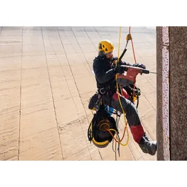 Petzl Axess