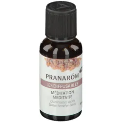 Pranarom Organische Meditation