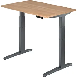 bümö elektrisch höhenverstellbarer Schreibtisch 120x80 cm mit Memory-Steuerung - Design Schreibtisch höhenverstellbar elektrisch, elektrischer