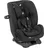 Joie Every Stage R129 Schiefergrau