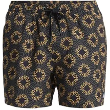 QUIKSILVER Everyday Printed Volley 15 Boardshorts Braun XS