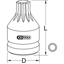 3/4" Kraft-Bit-Stecknuss Vielzahn mit Bohrung, kurz, M16