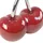 Casablanca modernes Design Casablanca 36439 Skulptur - Dekoobjekt - Kirsche - Double Cherry - Keramik - rot/Silber 16 x 16 cm