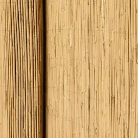 Sol Royal Windschutz 80 x 600 cm Beige Schilfrohr