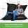 Green Bean Indoor Sitzsack XXL 140x180cm 380 Liter Kinder - Erwachsene Bean Bag EPS Perlen Füllung Riesensitzsack Groß Liegekissen Sitzkissen - Petrol Schwarz