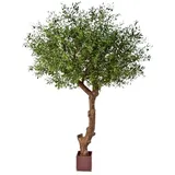 aplanta Künstlicher Olivenbaum - Ilias | 270 cm