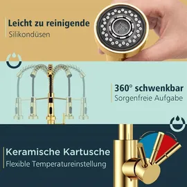 luxuskollektion FORIOUS Wasserhahn Küche mit Herunterziehen Brause Gebürstetes Gold