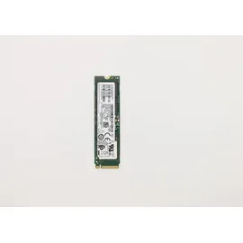Lenovo 256 GB M.2