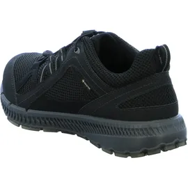 ECCO Terracruise LT Herren Schwarz 42
