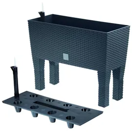 Prosperplast Rato Case High 60 x 25 x 46 cm anthrazit