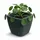 Prosperplast Oro 29 x 29 x 27 cm Dunkelgrau