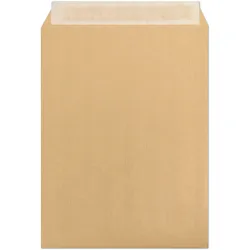 Clairefontaine 125x Versandtaschen haftklebend Kraft 330x440mm 120g - Braun 7759C