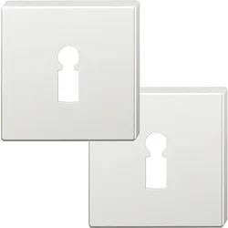 FSB Rosetten quadratisch ASL FSB - Buntbartrosette Aluminium silber eloxiert