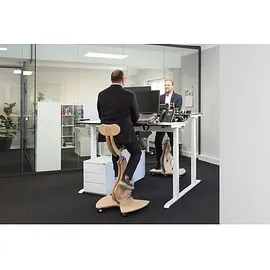 fitseat Schreibtischfahrrad Professional grün