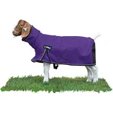 Weaver Leather Livestock ProCool Ziegendecke mit reflektierenden Paspeln, Violett, Größe M