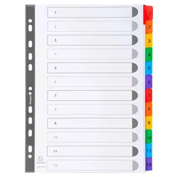 Exacompta 1112E 20x Register numerisch bedruckt, weißer Karton 160g/qm, 12 Taben, 1-12, DIN A4 - Weiß