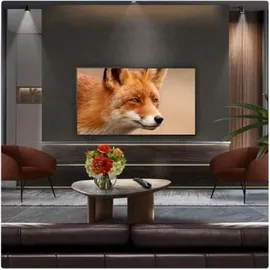 LG OLED55C54LA 55" 4K OLED evo AI Smart TV C5