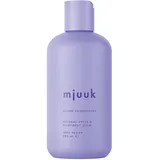 mjuuk Silver Conditioner 250 ml