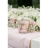 BAOBAB Collection My First Baobab Paris CANDLE 190 g